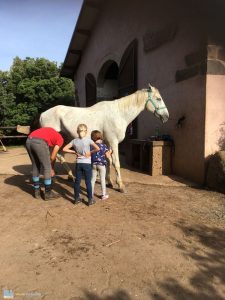 sardegna bambini equitazione