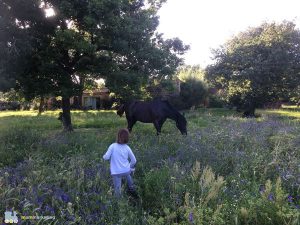 Mandra Edera vacanze con bambini Sardegna