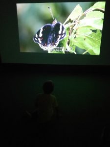 Butterfly House Sardegna Il cinema